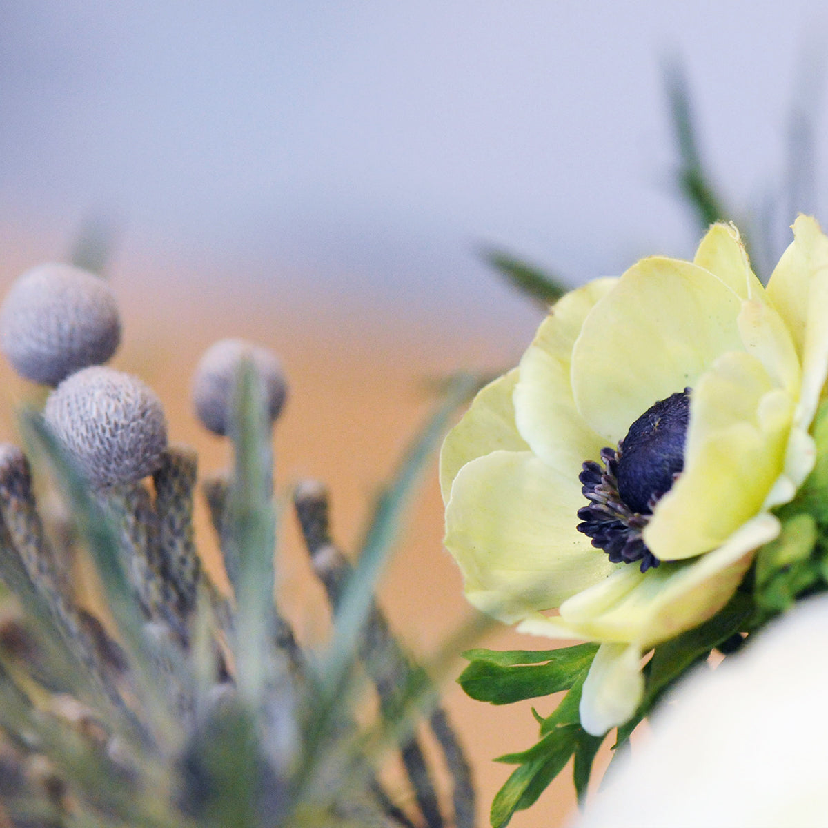 Silver Brunia and White Anemone feature in the Fremont floral arrangement 