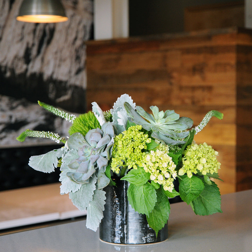 on location image of Spruce flowers Loring Arrangement featuring Mini Green Hydrangea, Dusty Miller foliage, Trick Dianthus all set in a Black Ceramic delux vase  