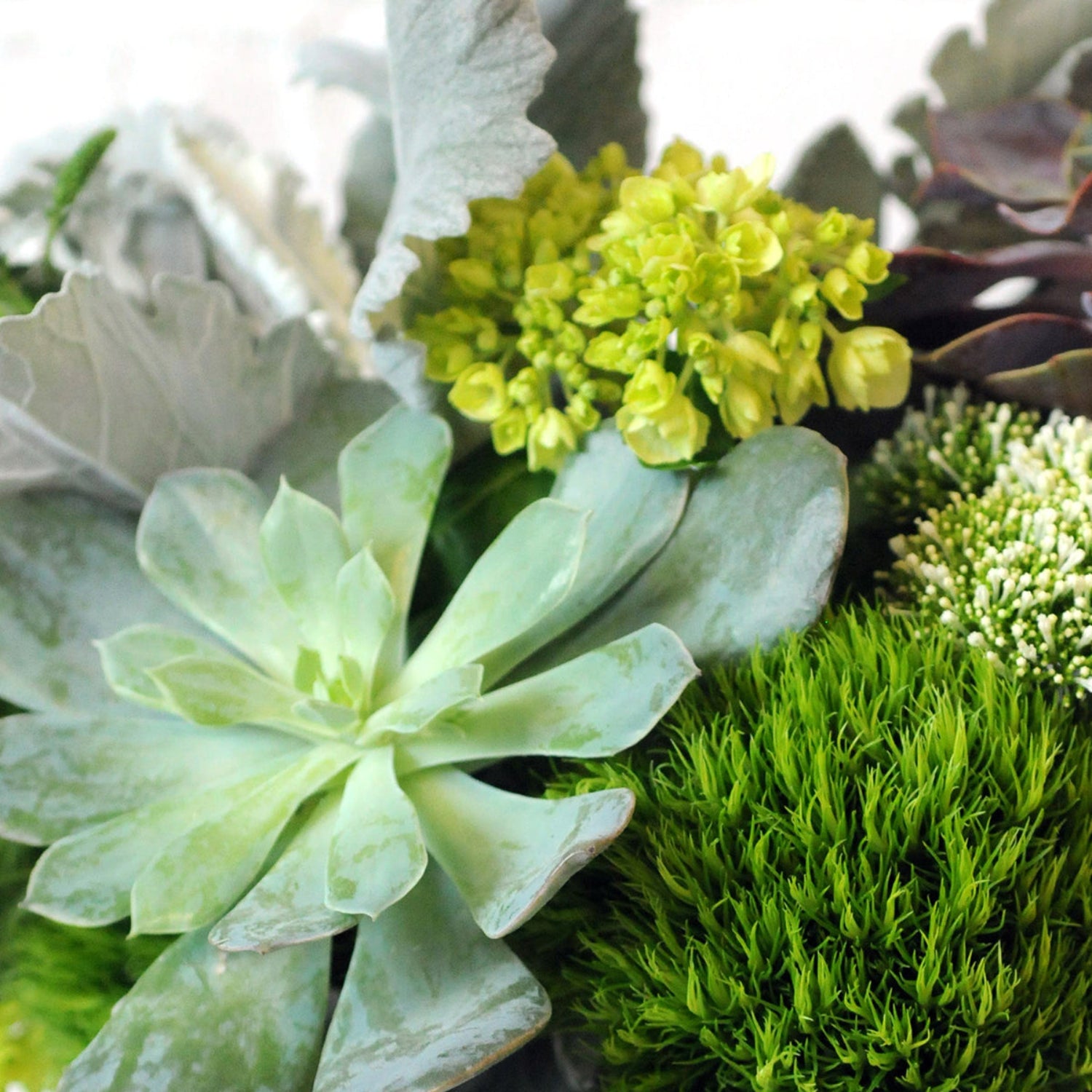 Close up detail shot of the Loring Arrangement, showing all the different tones of green
