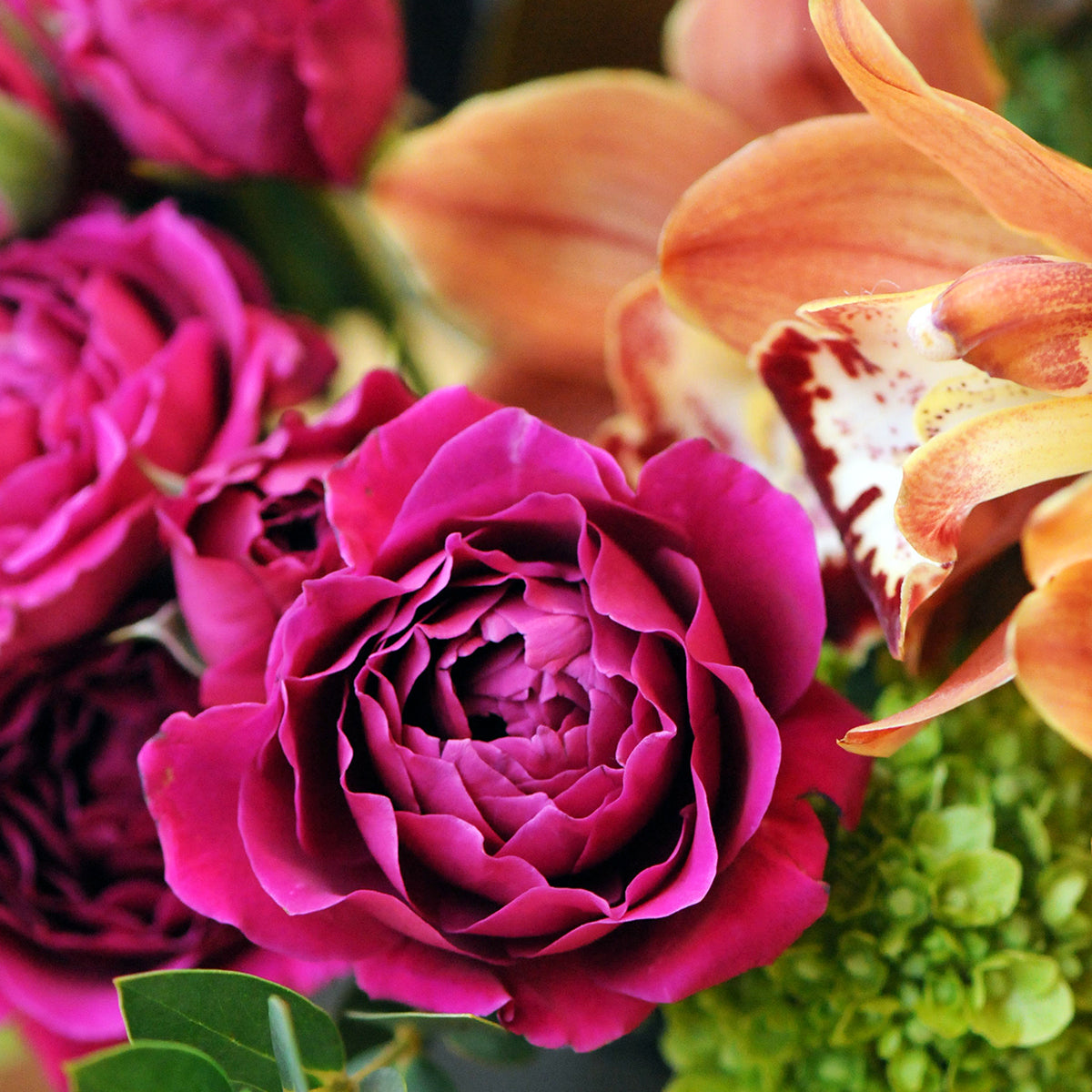 close up image of Hot Majolika spray roses and cymbidium orchid