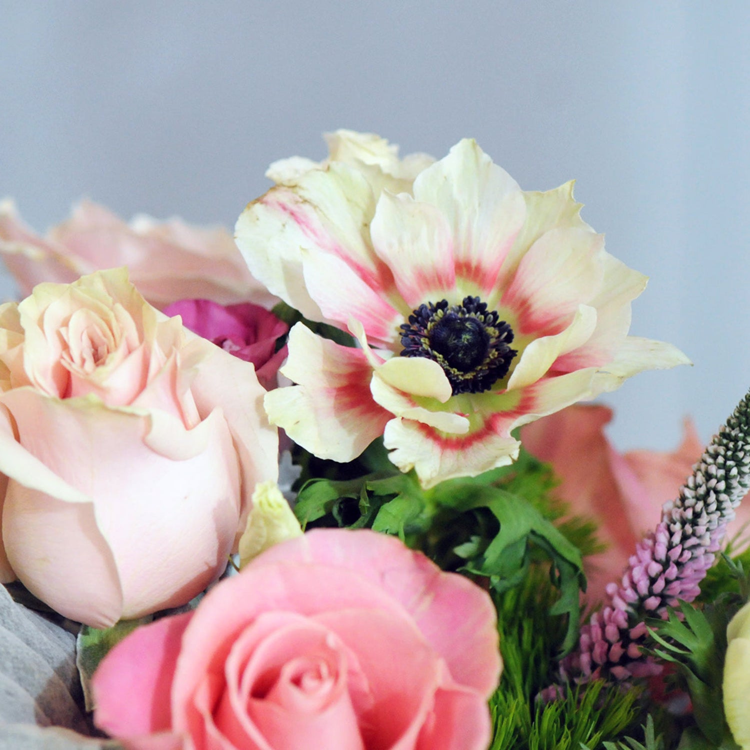 Detail view of Anemone and Rose blooms 
