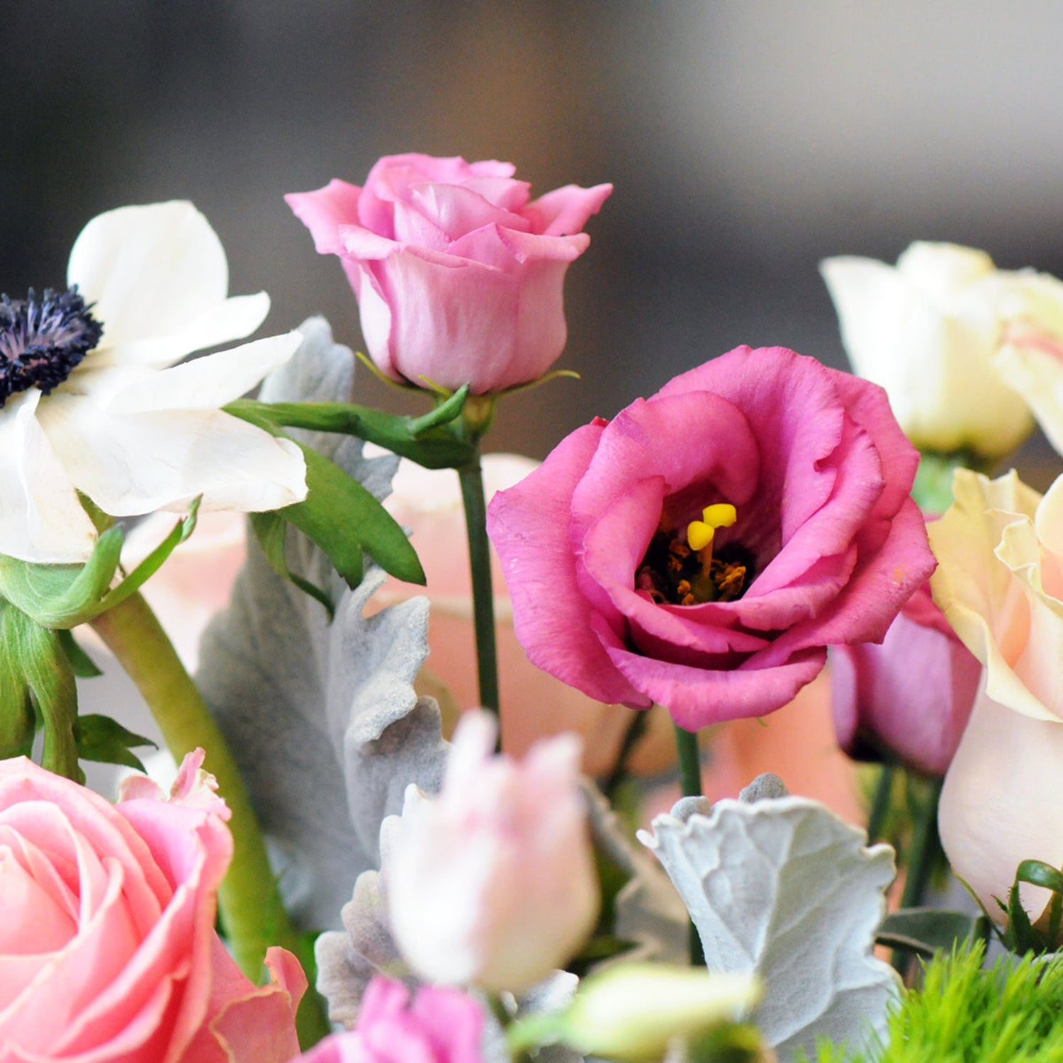 Lisianthus blooms in a shade of coral pink 
