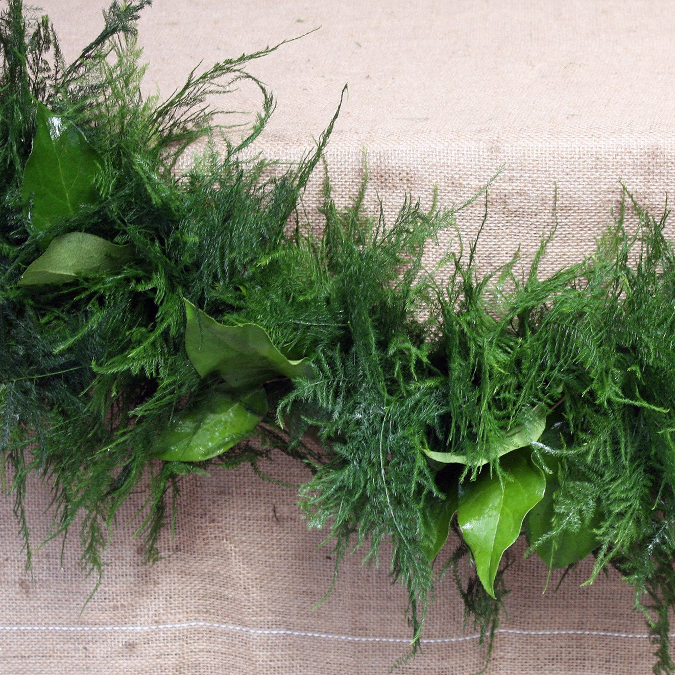 Fern and Salal garland on Hessian 