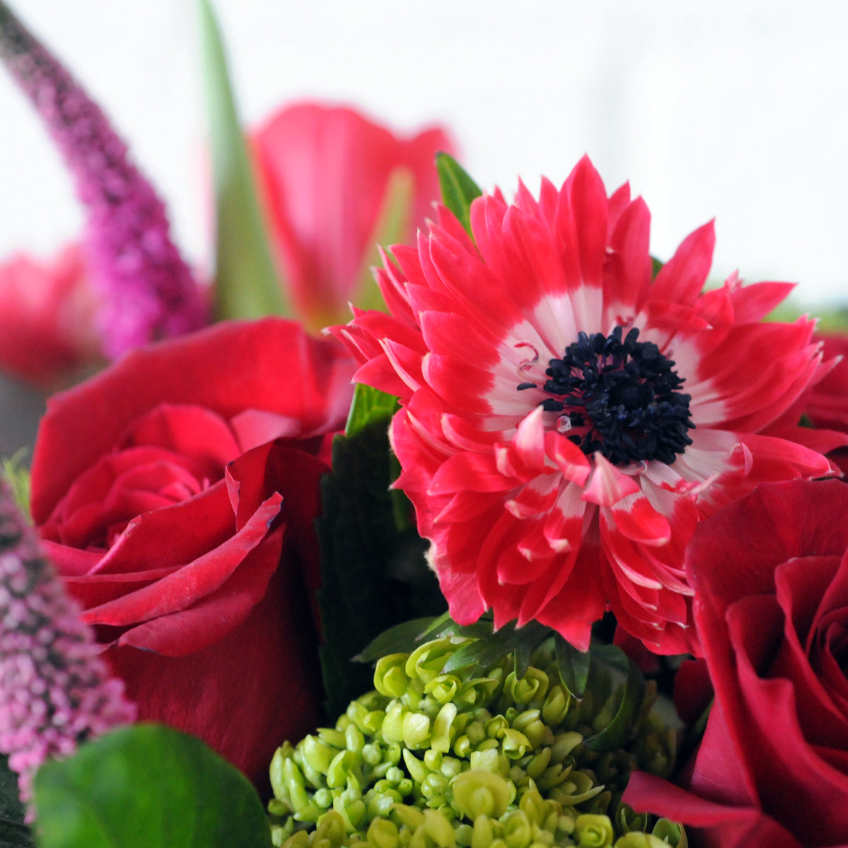 Bouquet of red roses and a pink and white Anemone with a black center.