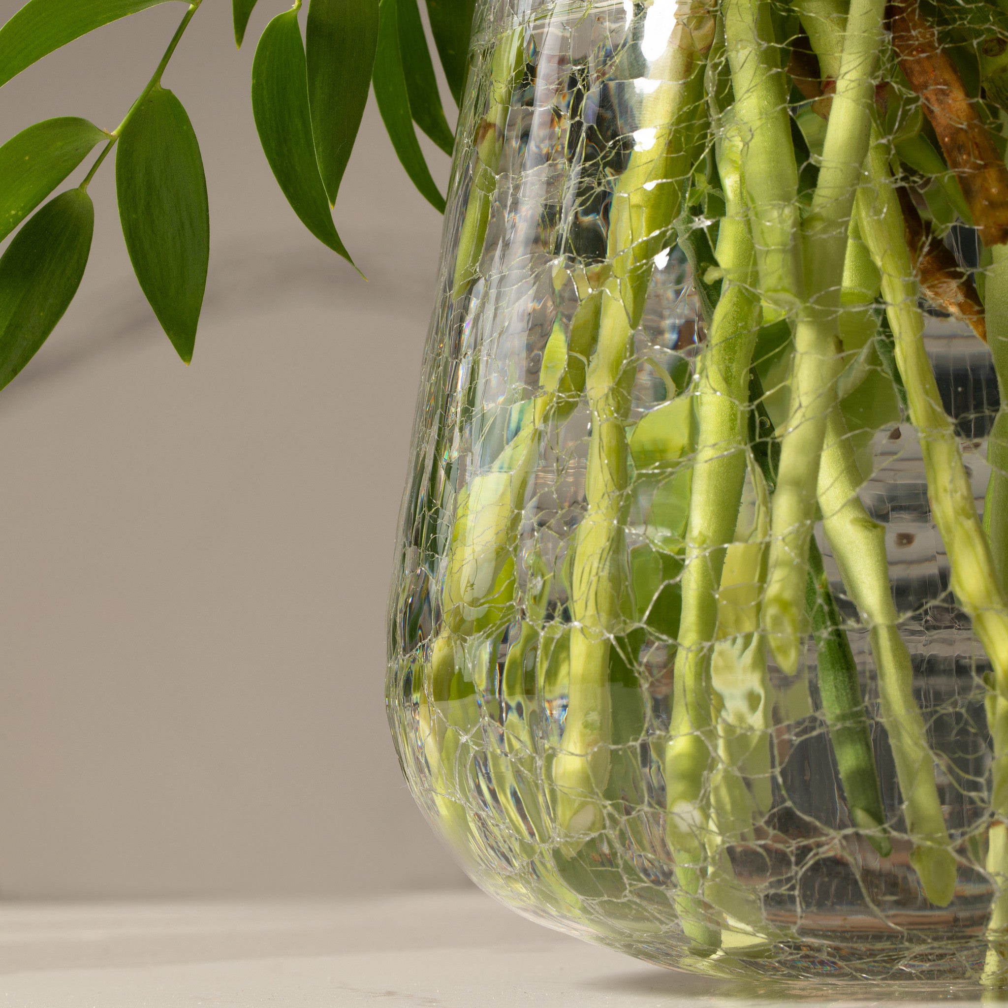 A close-up of a clear glass vase with a crackle finish , green stems, with foliage  leaves in the top left against a neutral beige background.