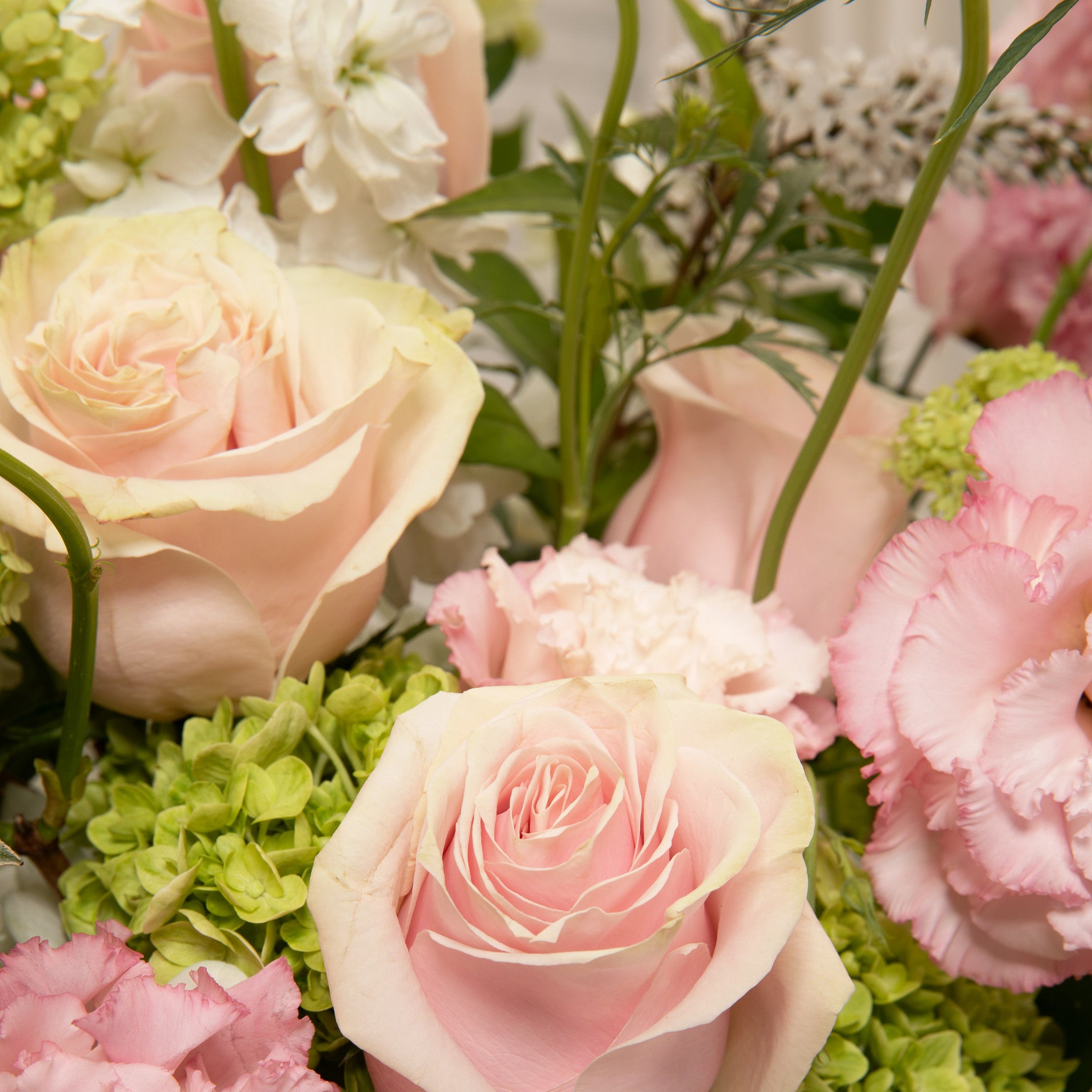 A close-up floral arrangement featuring pale blush pink roses, light pink Lisianthus, white flowers, and green hydrangea blooms with textural green foliage.