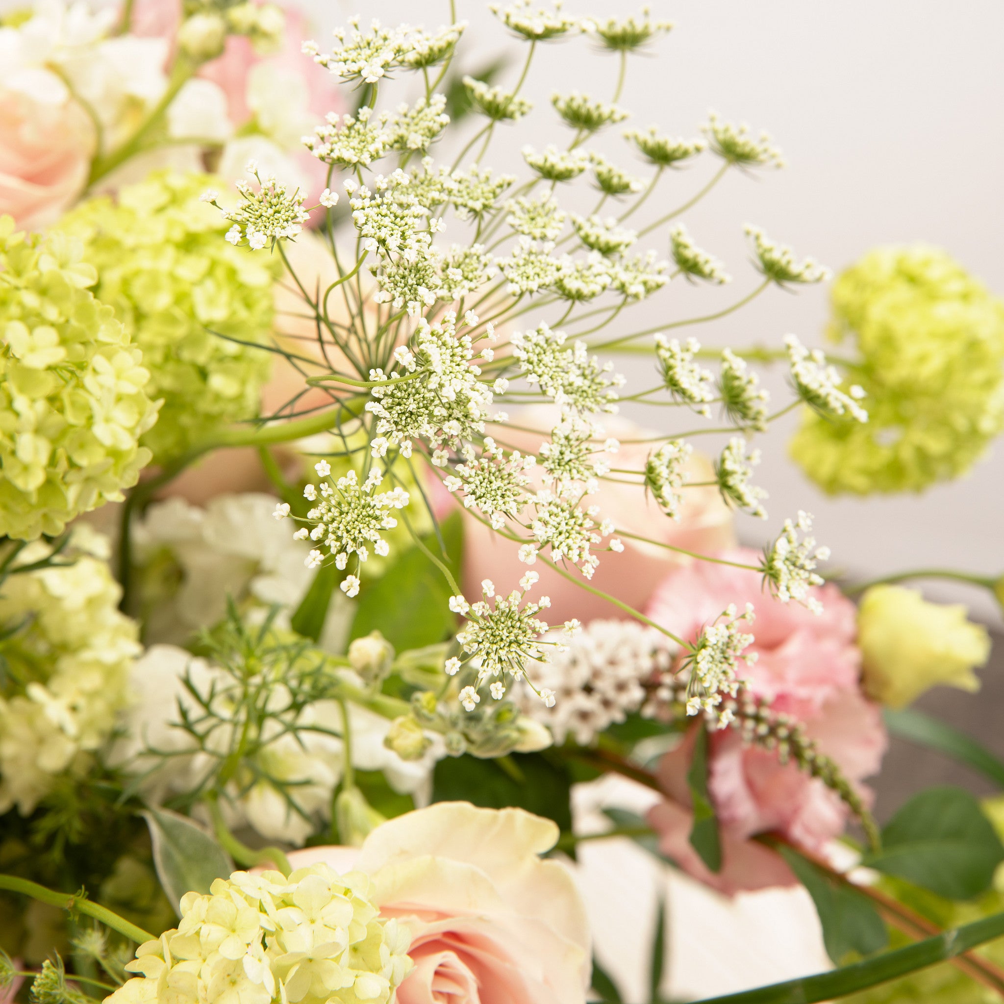 A close-up of a mixed floral arrangement featuring pale pink roses, light green hydrangea-like blooms, and clusters of small white flowers with delicate green stems.