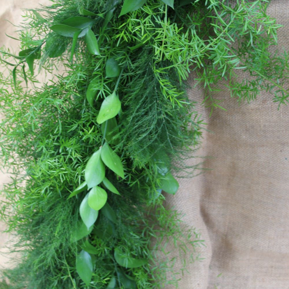 Close-up of green leafy branches on a textured beige background