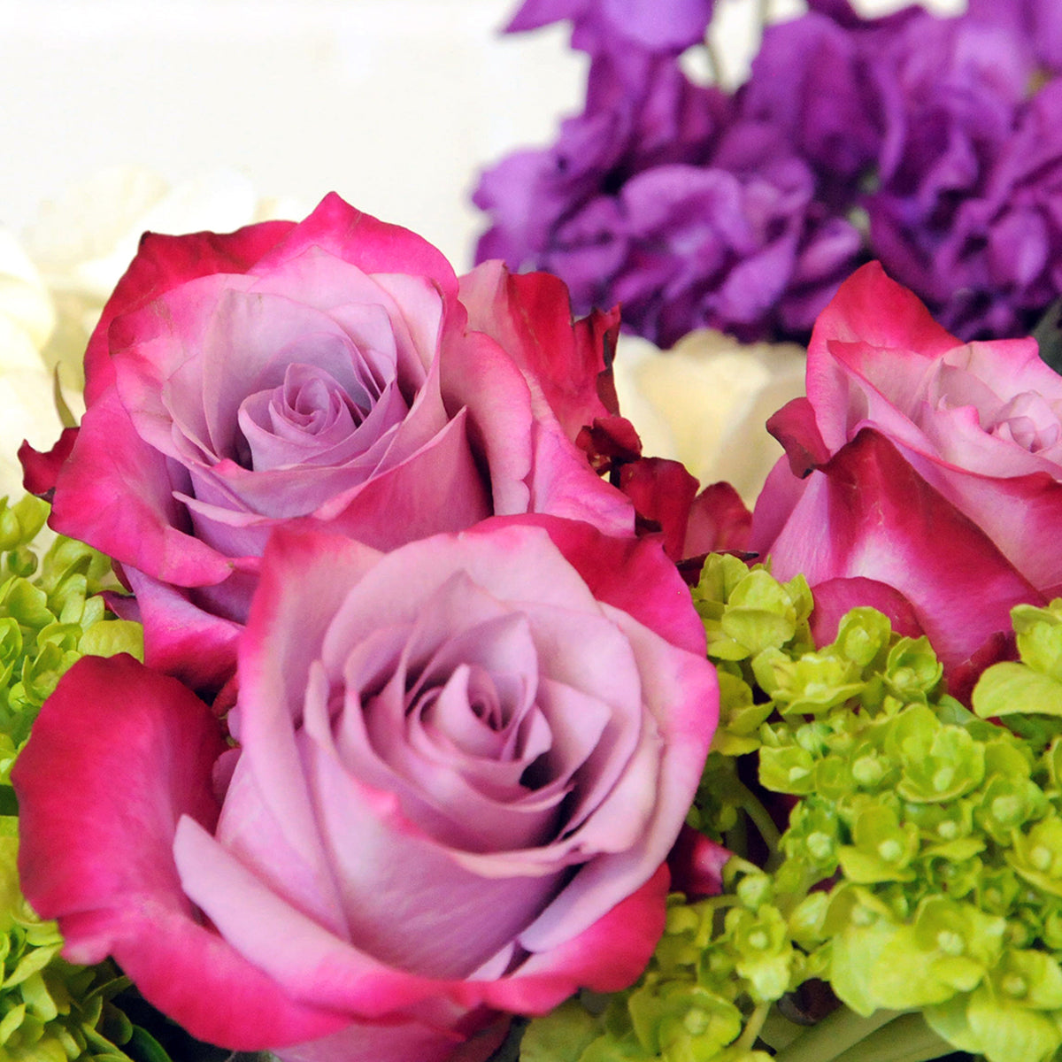 Deep Purple Roses featured in Spruce Flowers York arrangement 