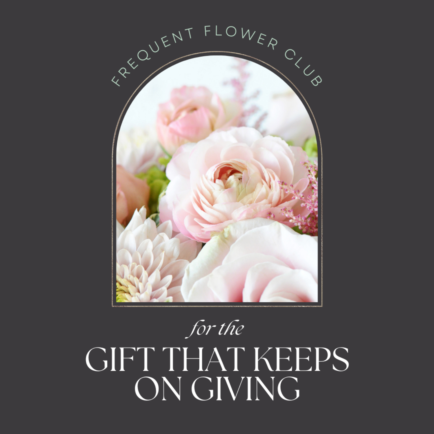 spruce frequent flower club picture of Ranunculus and text for the gift that keeps on giving 