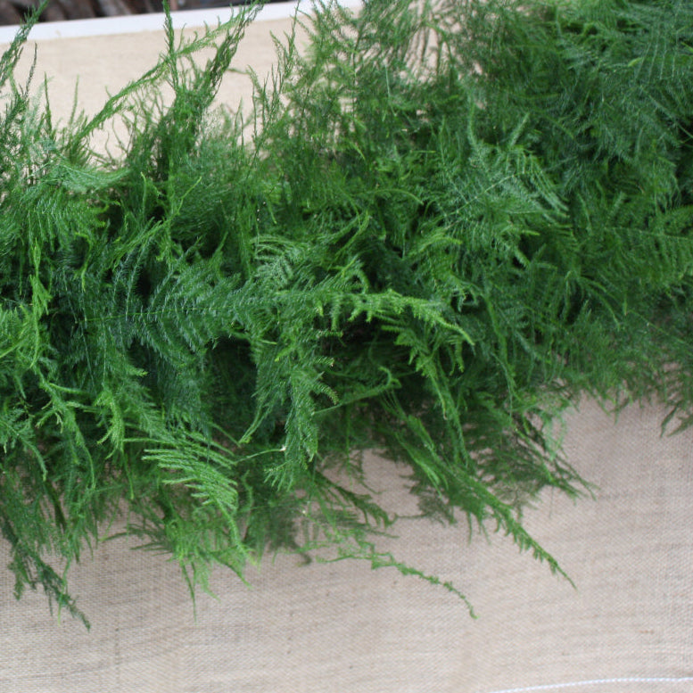 Green fern garland on a neutral background