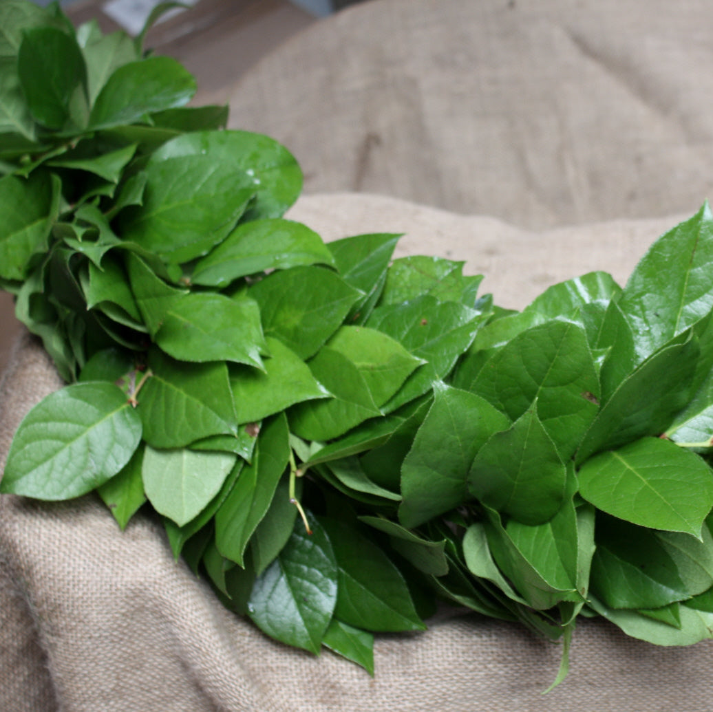 Green leafy garland on a beige fabric background
