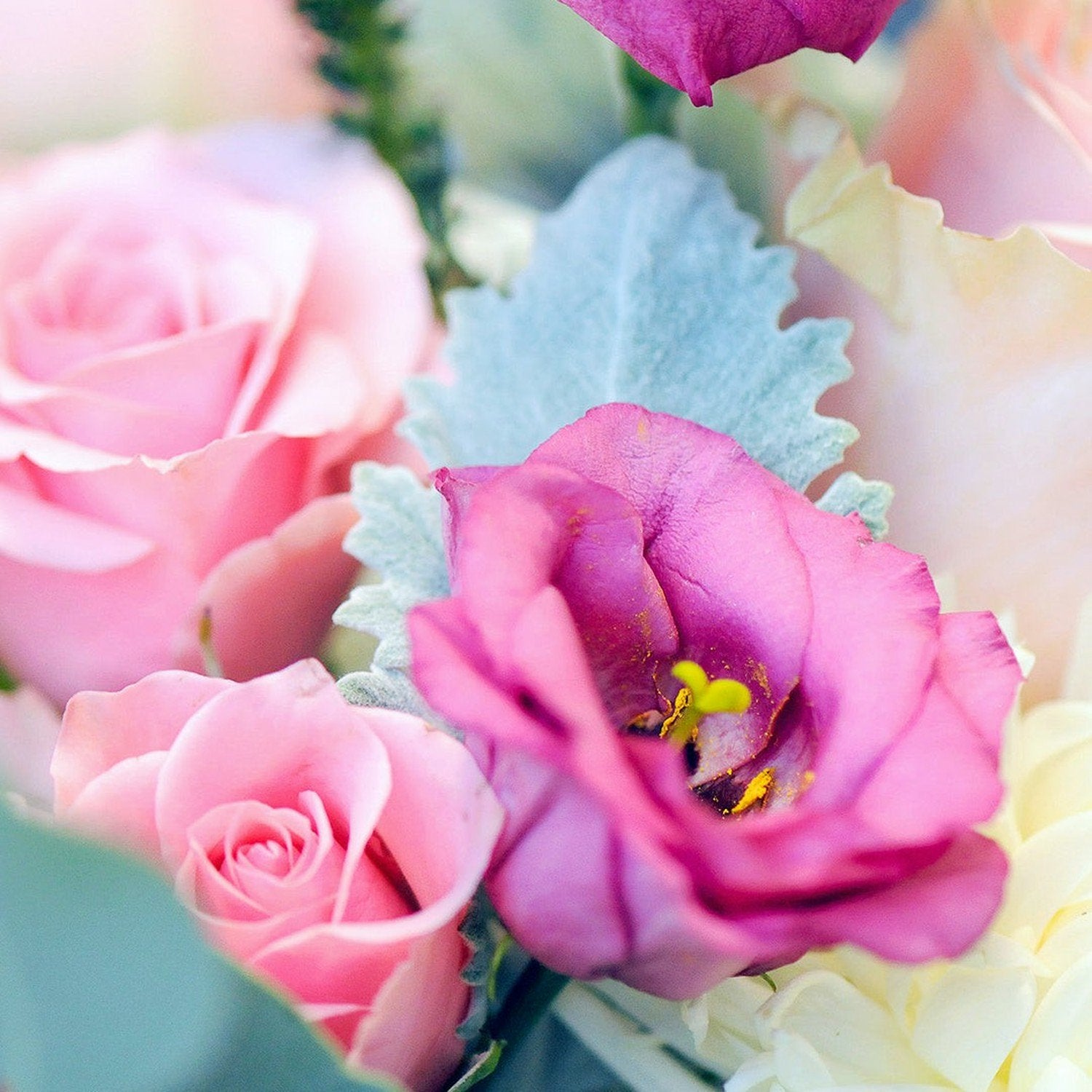 Close up of Lisianthus in Spruce Flowers Blaisdell arrangement 