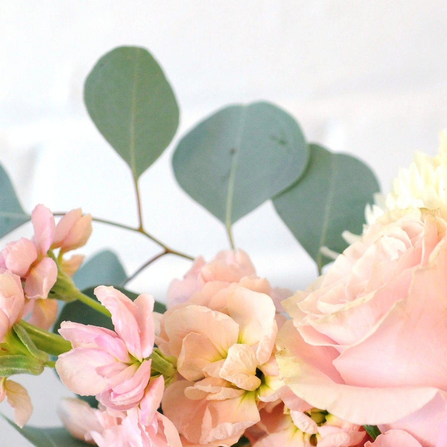 Soft Pink Stock and Mondial Roses close up featured in Spruce Flowers Blaisdell Arrangement 