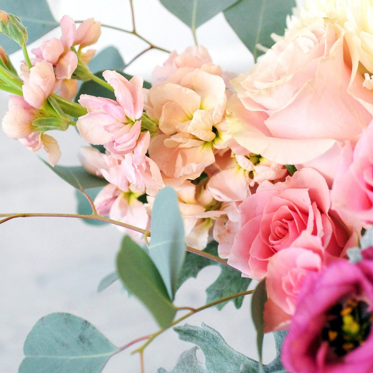 Detail view of petals of the fresh blooms in Spruce  Flowers Blaisdell arrangement 
