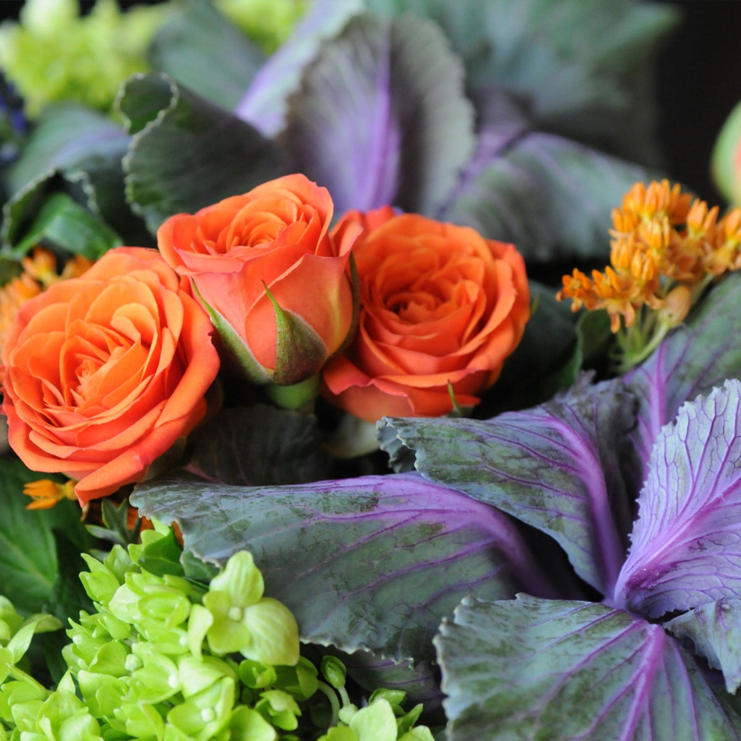 Orange spray roses nestle in a compact mound of Kale, mini green Hydrangea and Trick Dianthus arranged by Spruce flowers designers for delivery in the Twin Cities Metro of Minneapolis and St Paul  