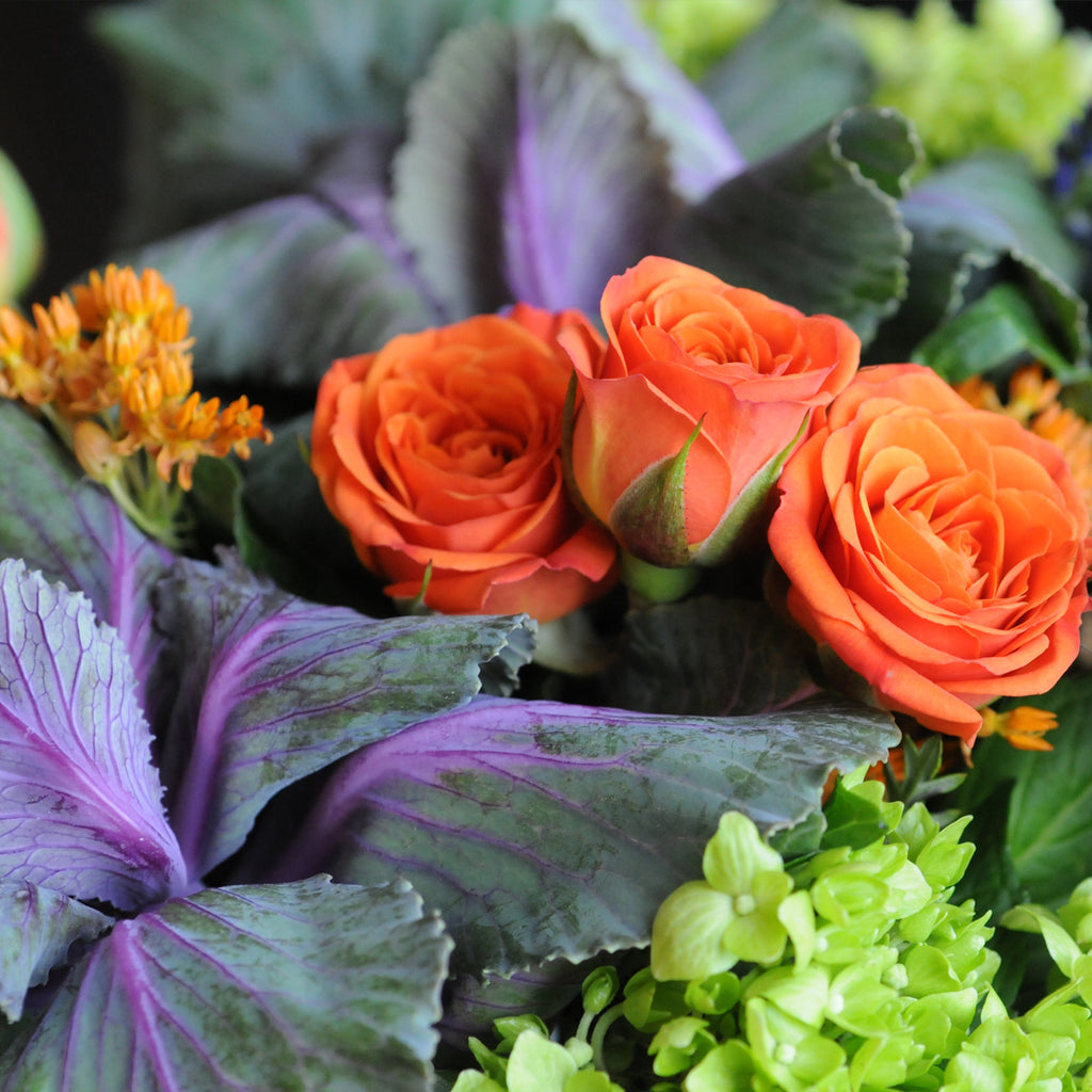 Orange spray roses nestle in a compact mound of Kale, mini green Hydrangea and Trick Dianthus arranged by Spruce flowers designers for delivery in the Twin Cities Metro of Minneapolis and St Paul  