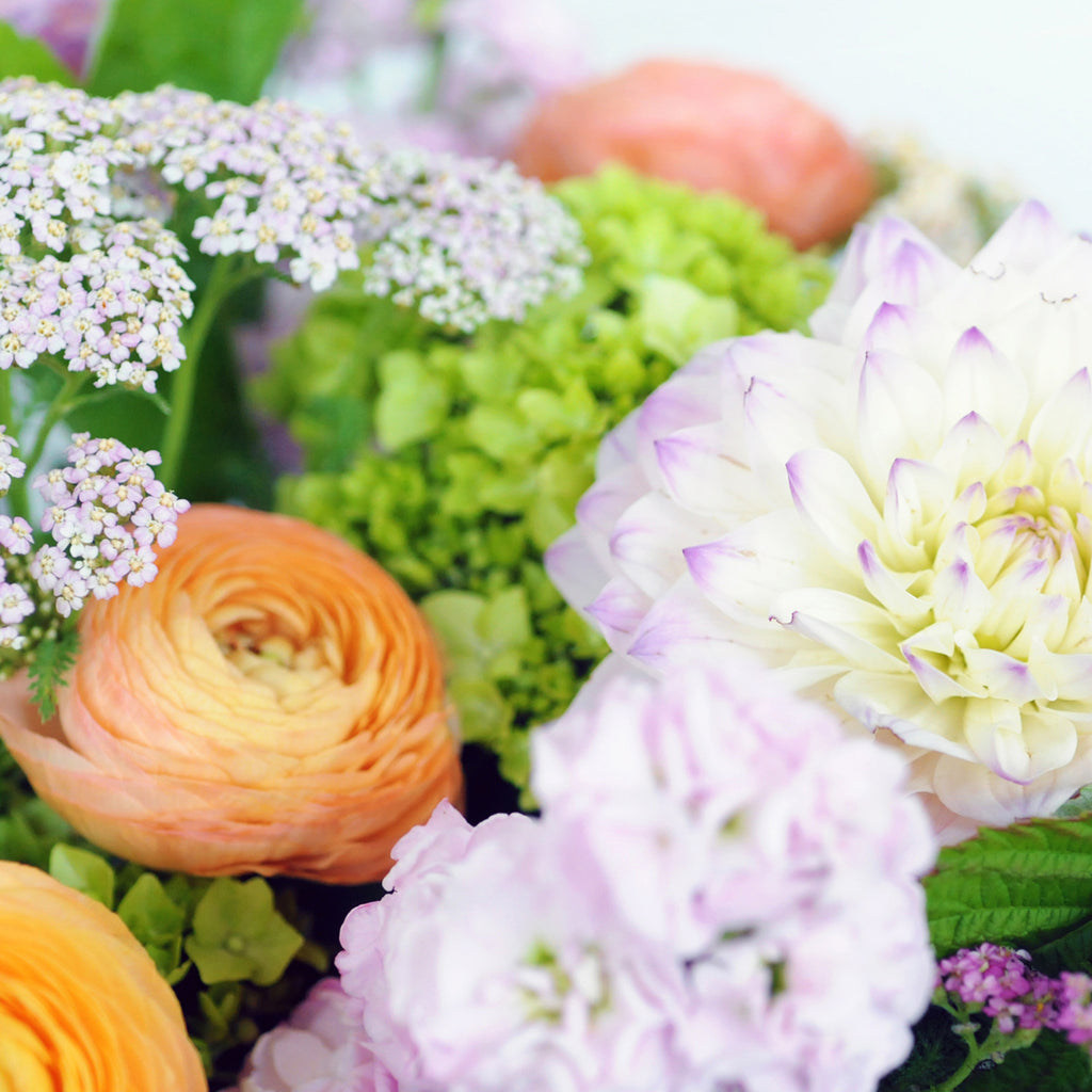 Close up of Ranunculus and Dahlias in our whimsical Buchanan floral arrangement 