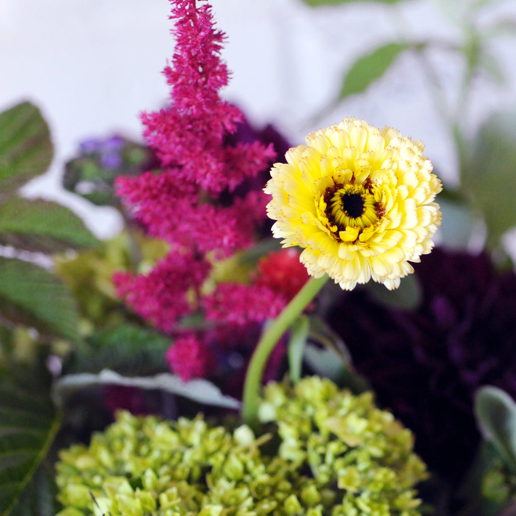 Close up of Zinnia and Astilbe florals in a floral arrangement from Spruce Flowers and Events  