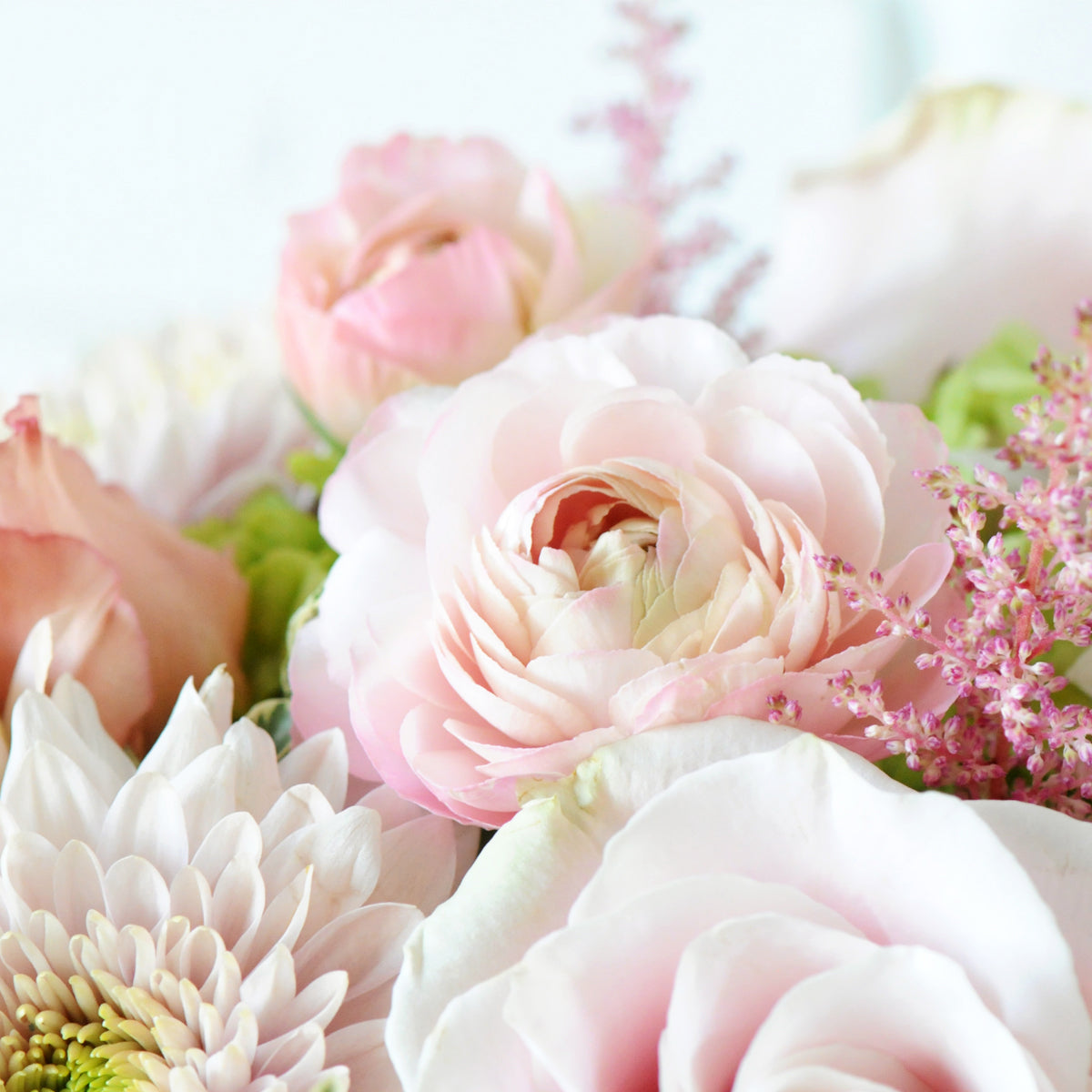 Soft Pink Ranunculus bloom with Astilbe sometimes feature in Creative Directors from Spruce Flowers 