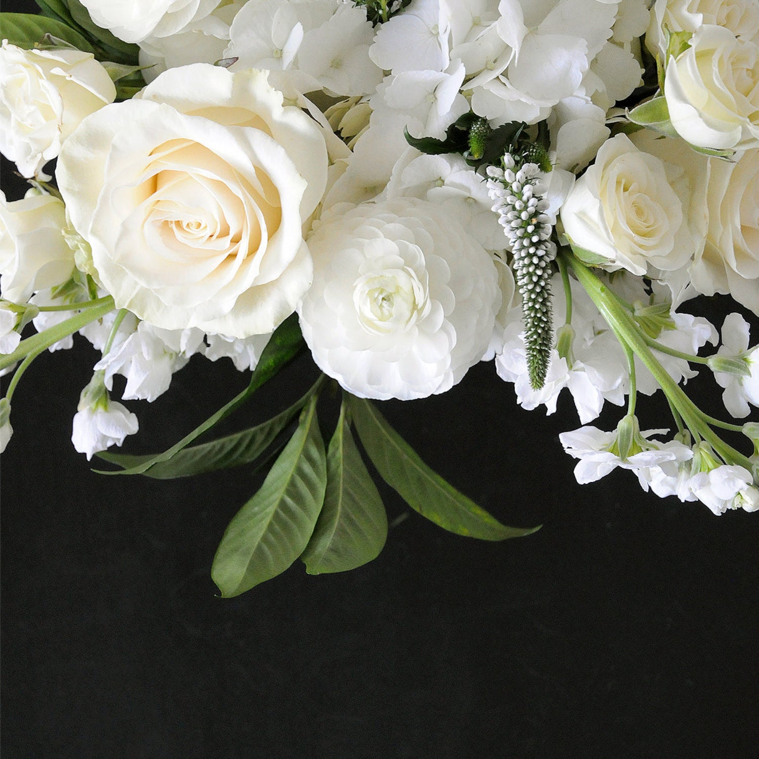 White fresh floral Blooms and greens on a black background 