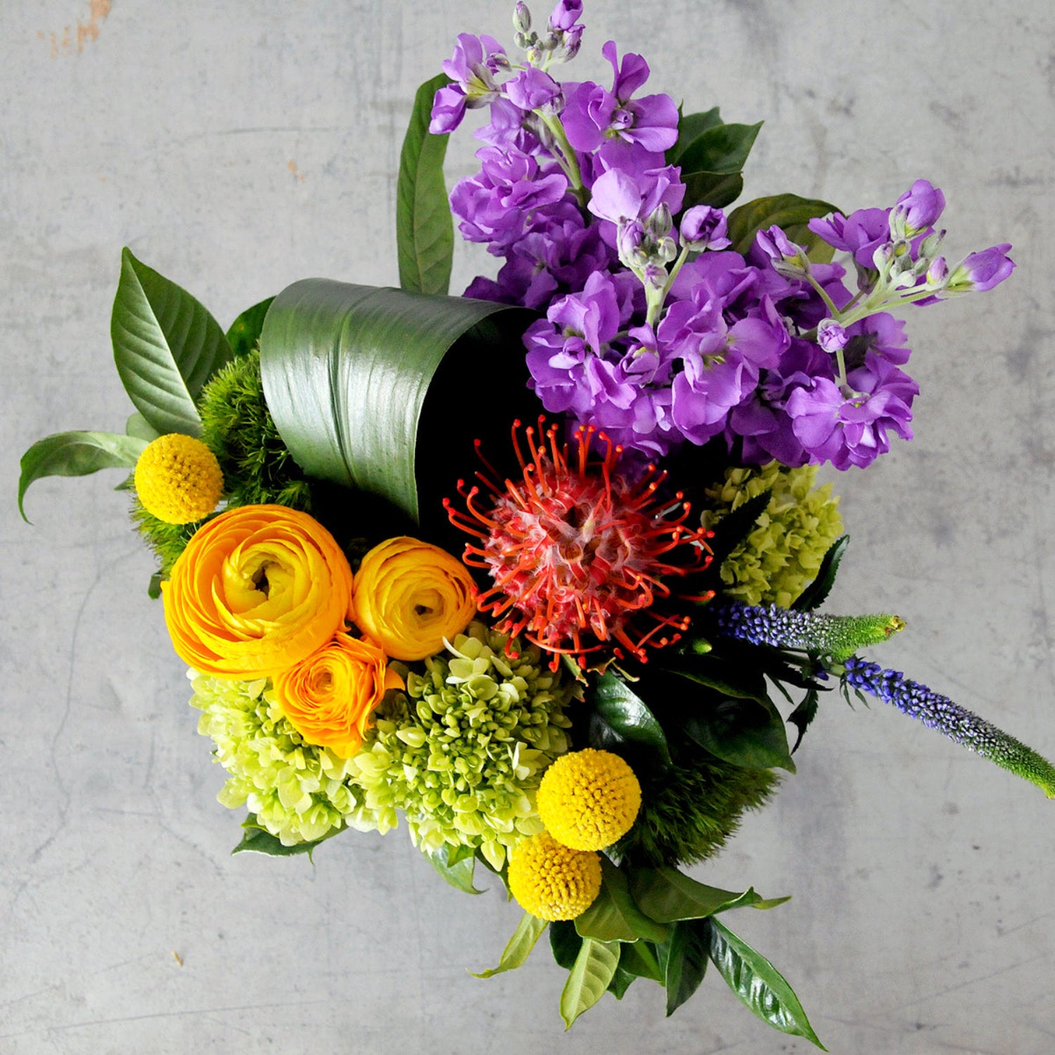 Top down view of an example of a modern creative director featuring protea, stock, ranunculus, and green hydrangea. Image is an example of the styling rather than the exact arrangement that will be sent