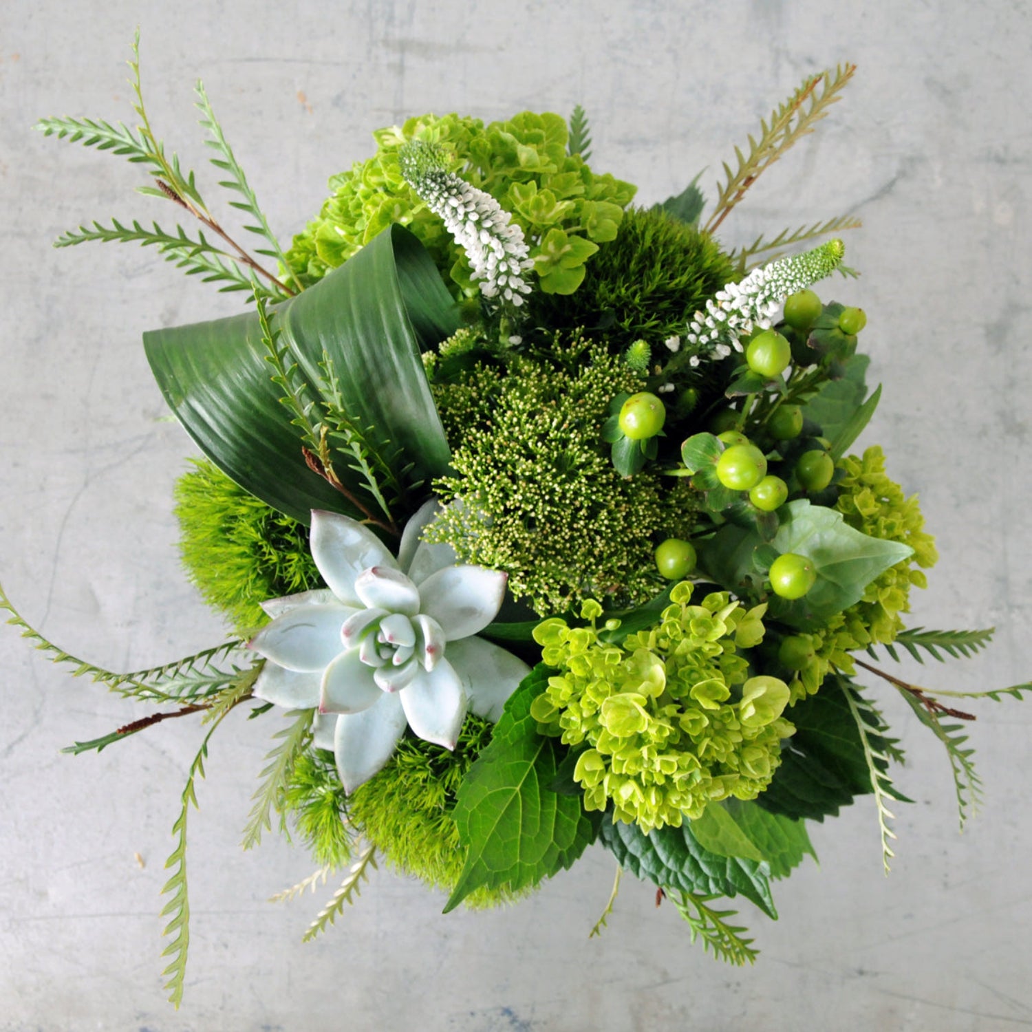 Top down view of monochromatic green arrangement with white veronica highlights. Image is an example of the styling rather than the exact arrangement that will be sent 