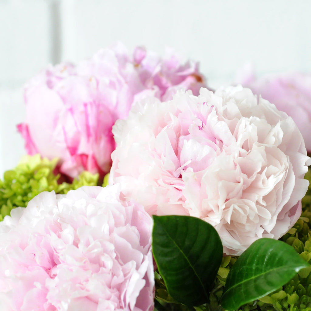 Portland Flower arrangement for Spring featuring Peonies for delivery in Minneapolis and St Paul